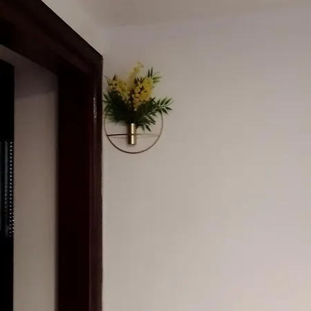 Casa Carducci * Monteleto