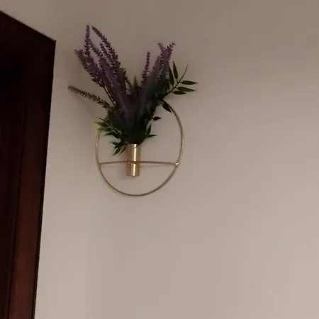 Casa Carducci Pensión Monteleto