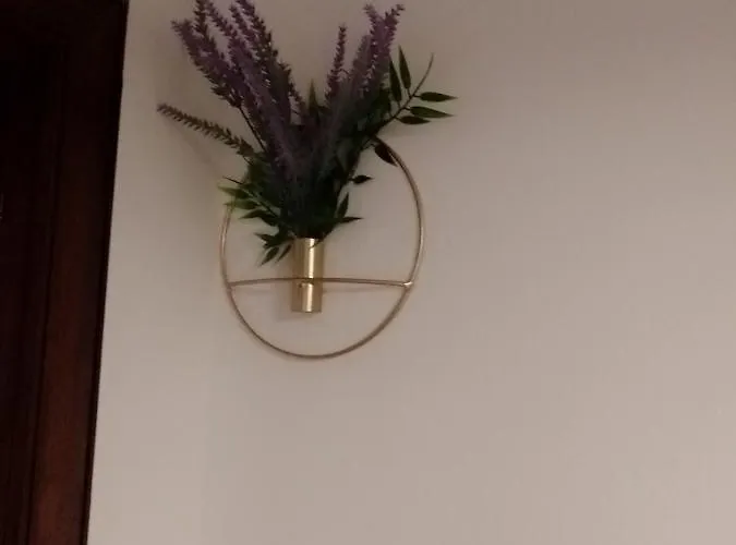 Casa Carducci 招待所 Monteleto